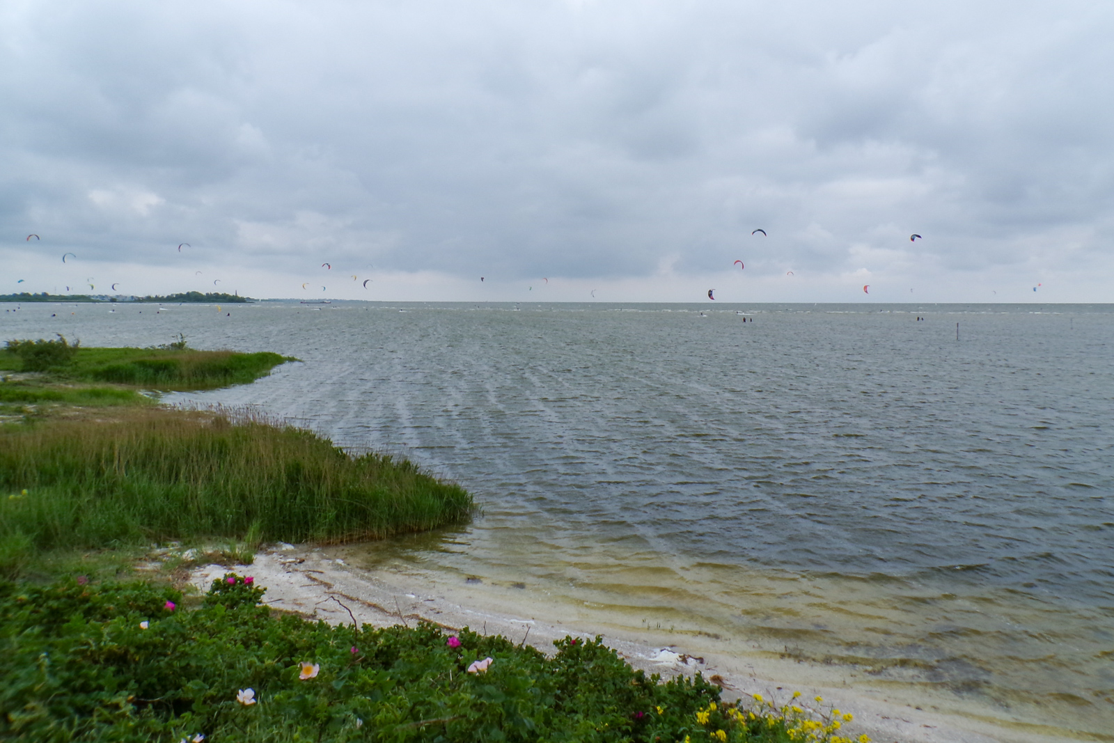 IJsselmeerkust  2240522