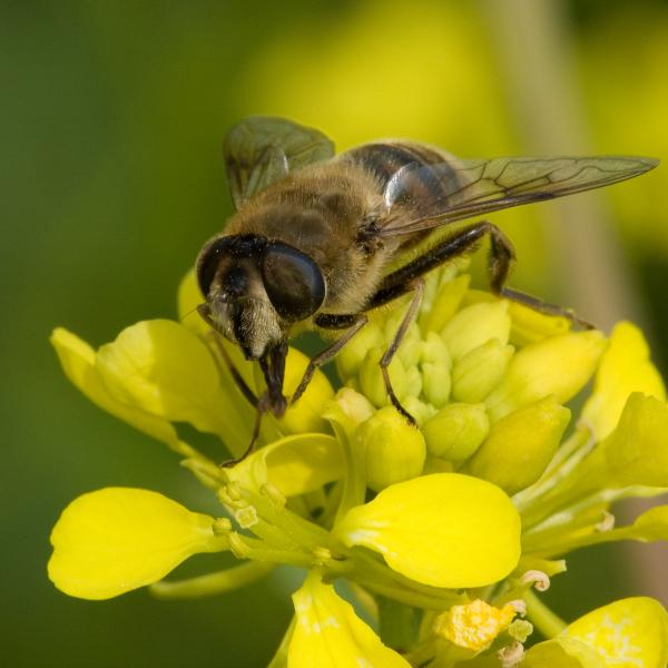 Dsc 0149 34 Edit Edit Edit Edit