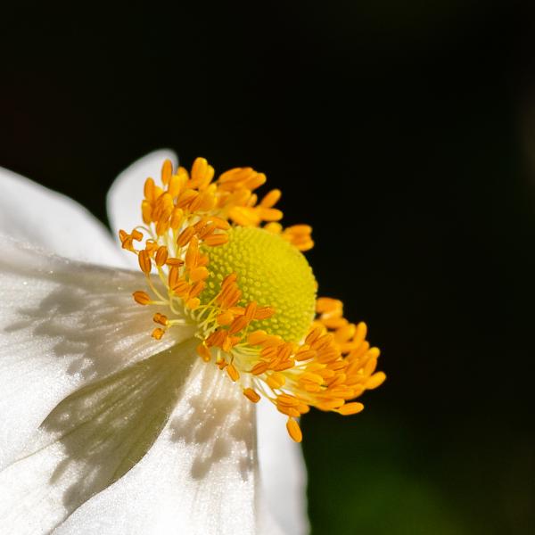 Macro22 September 2019 17